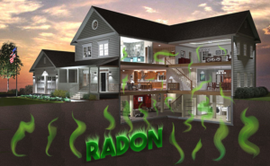 Graphic Design by Buney for RMS | Design: #12195021