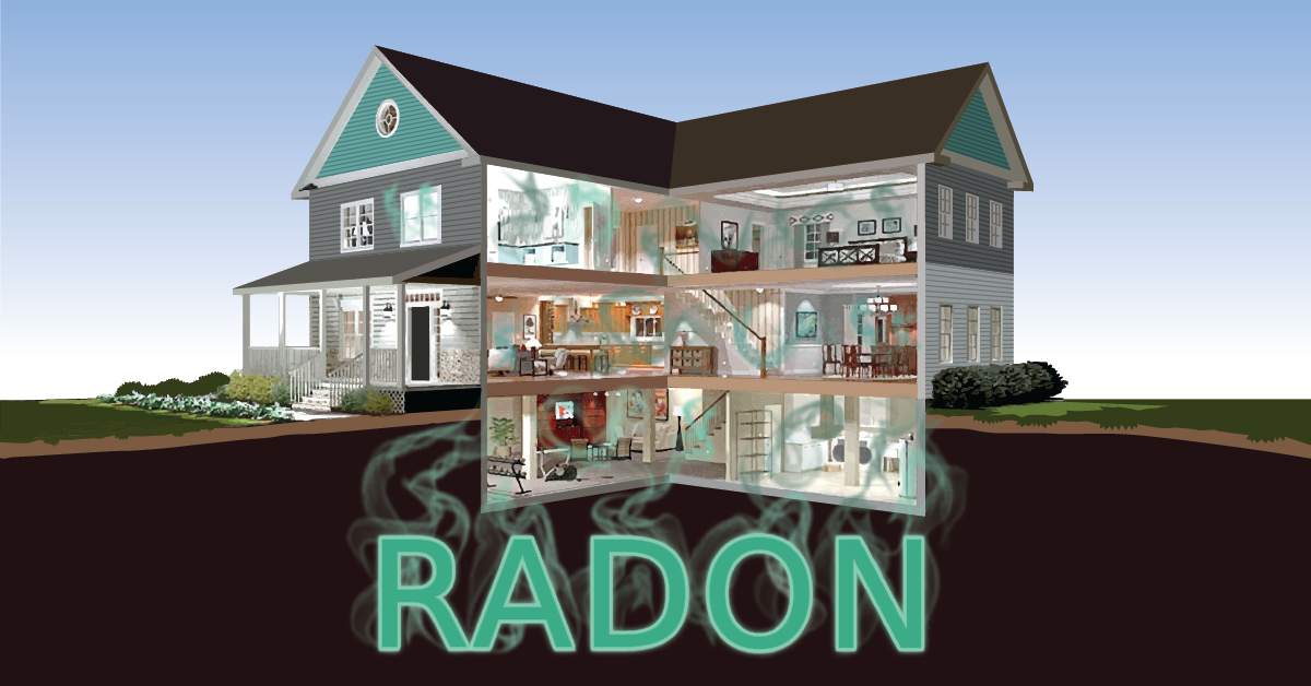 Diseño Gráfico por dan-D-dan para RMS | Diseño #12212254