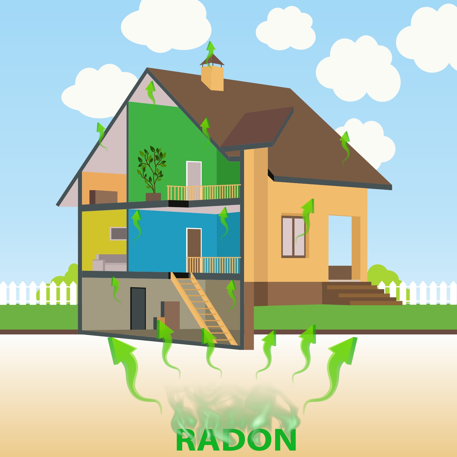 Design Graphique par Maestroto pour RMS | Design #12192049