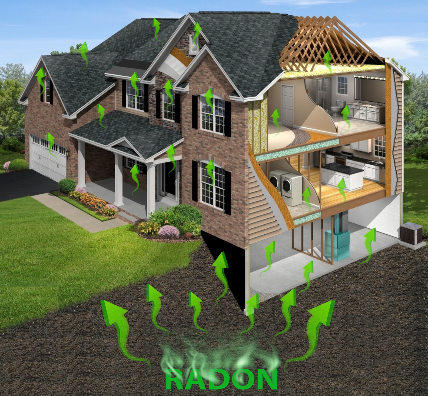 Design Graphique par Maestroto pour RMS | Design #12196399