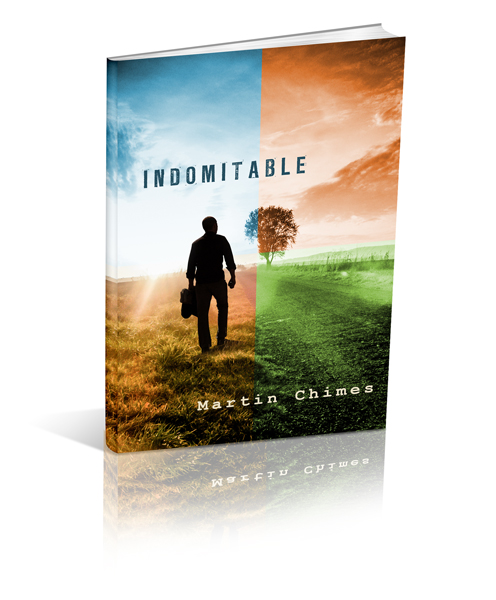 Buchumschlag Design von artistraman für dieses Projekt | Design #2443453