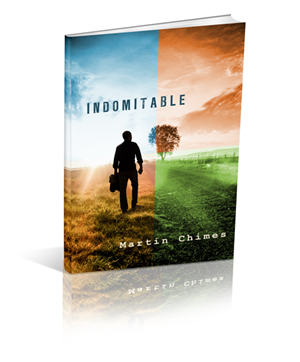 Book Cover Design by artistraman