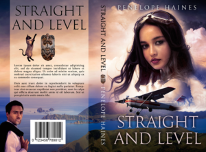 Book cover for a novel called Straight and Level | Book Cover Design by dienel96