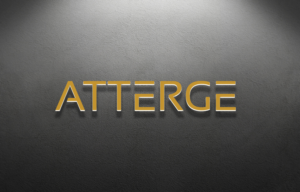 Design de Logo par Mehedi Hasan ™ pour Fatale | Design : #12180682