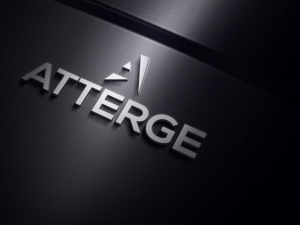 Logo-Design von designlogo007 für Fatale | Design: #12181201