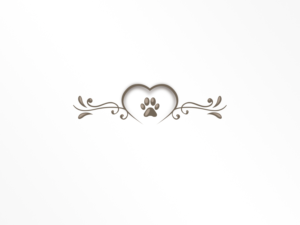 Logo Design by Paul Designs