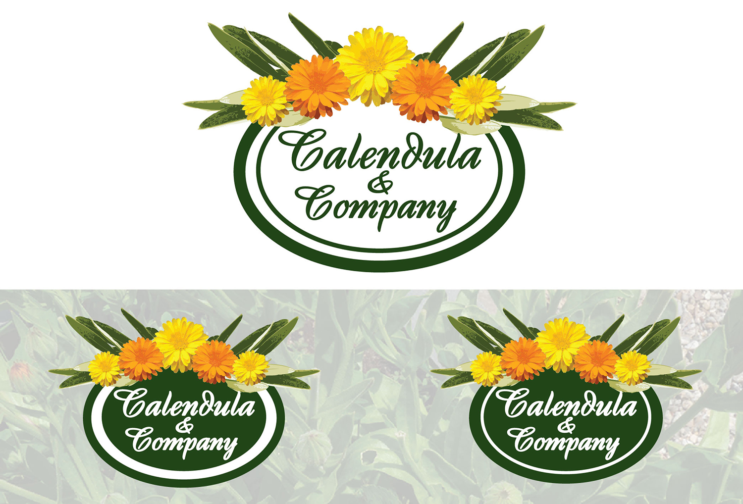 Design de Logo par - SWING - pour Sage Octopus | Design #12292933