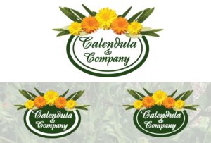 Logo Design by - SWING - for Sage Octopus | Design: #12292933