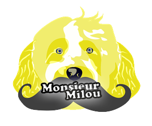 Logo Design by Jessica Slater Designs