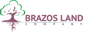 Design de Logo par Oc Sên pour ce projet | Design #12256106