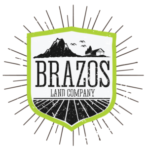 Logo Design by AdrianTiamson for this project | Design: #12228422