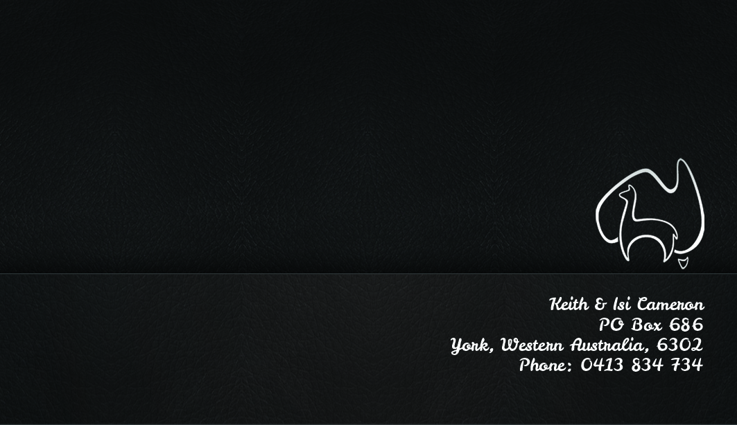 Business Card Design by Daysigns for Marketing Australia Pty Ltd | Design #2392649