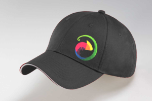 Design Art par BC Arts pour Chameleon Cafe & Clothing | Design : #12327459