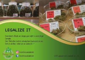 Diseño de Flyer por h j w para Green Tree Cannabis Club | Diseño: #12187760