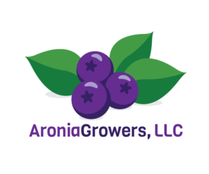 Logo Design by AnA_design