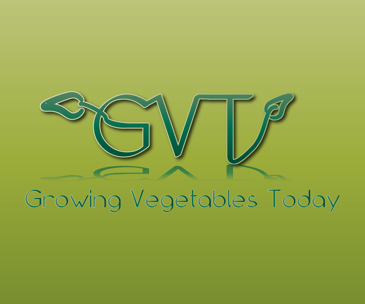 Logo Design by SamFenix for this project | Design #2385915
