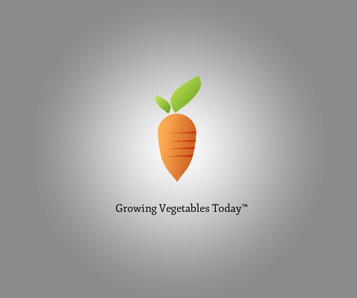 Logo Design by Seamus Radu for this project | Design #2385892