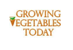 Logo Design by itrinh