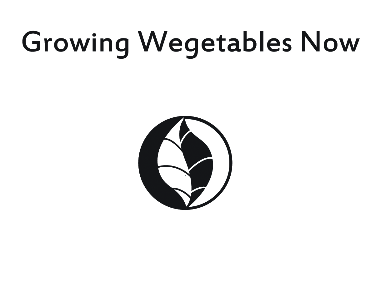 Logo Design by Geri for this project | Design #2388005