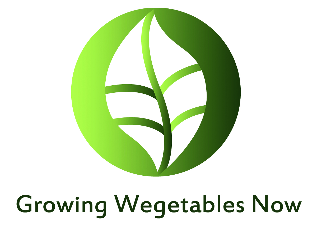 Logo Design by Geri for this project | Design #2388009