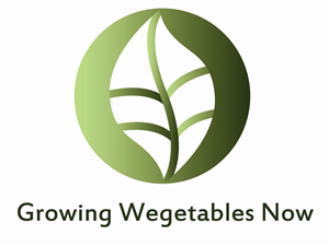 Logo Design by Geri