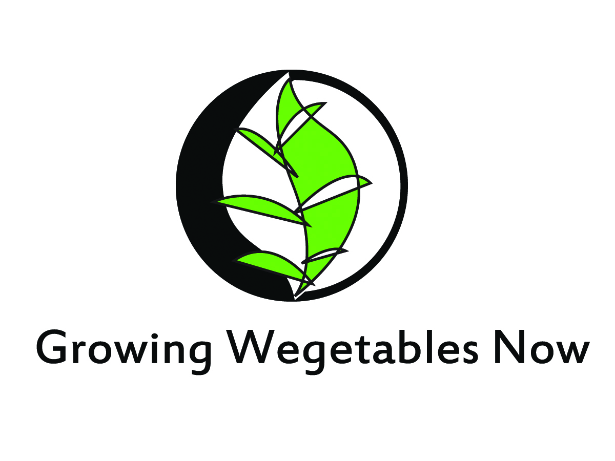 Design de Logo par Geri pour ce projet | Design #2388013