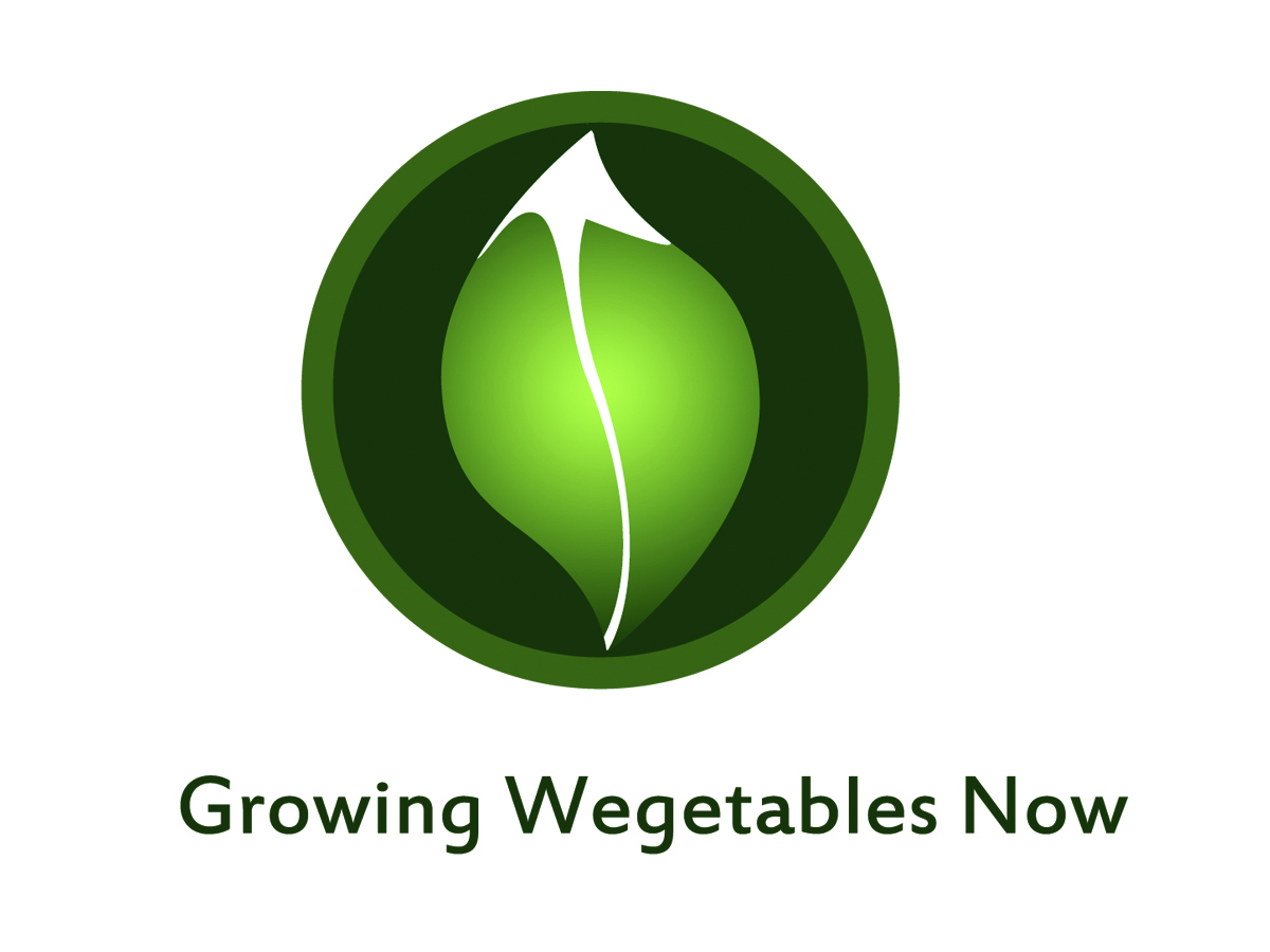 Logo Design by Geri for this project | Design #2388015