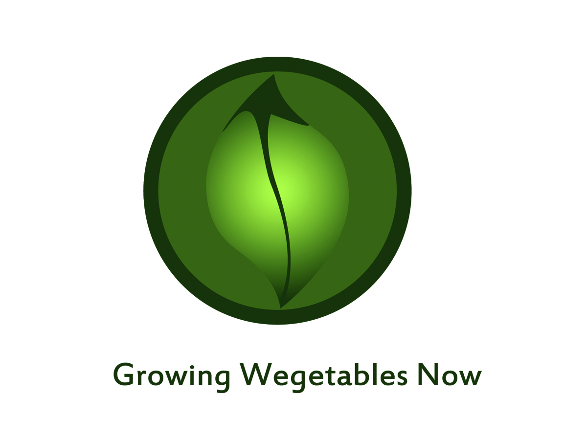 Logo Design by Geri for this project | Design #2388017