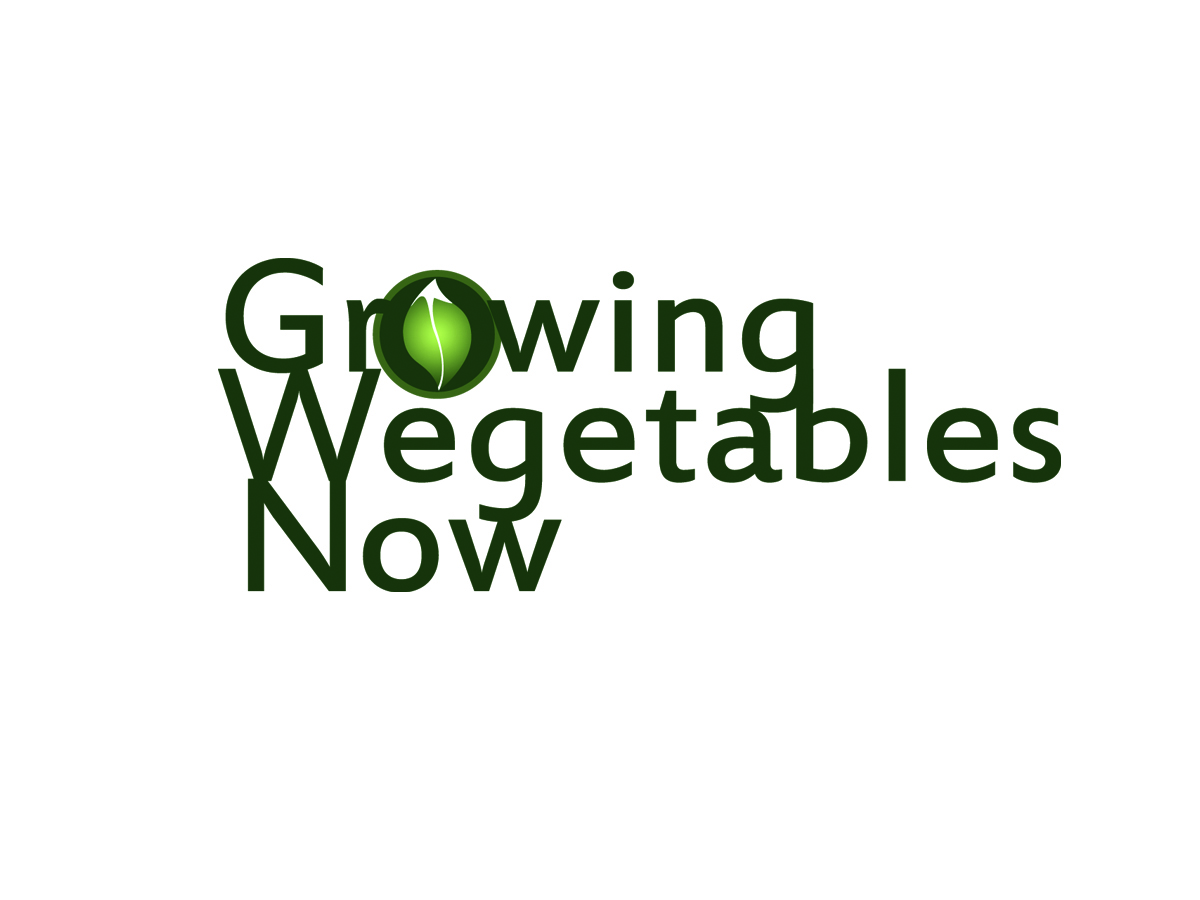 Design de Logo par Geri pour ce projet | Design #2388019