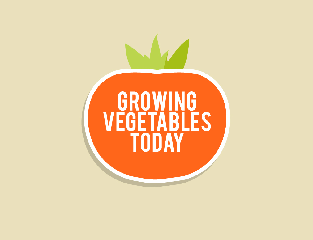 Design de Logo par BIJIT KEOT pour ce projet | Design #2386375