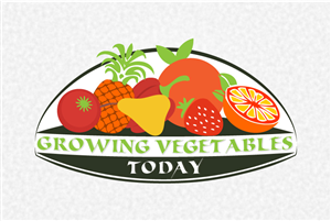 Logo-Design von Designer-raj für dieses Projekt | Design: #2390329