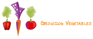 Logo Design by S00017313