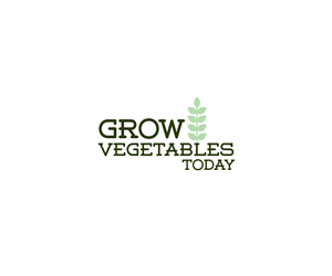 Logo Design by mishra