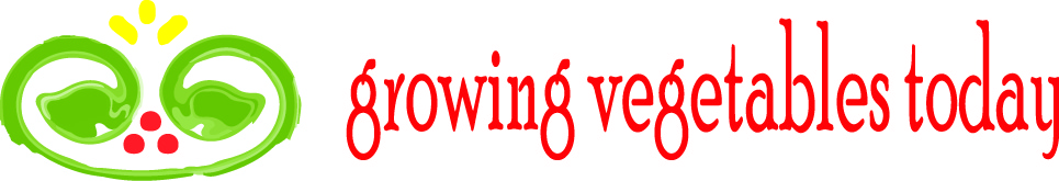 Design de Logo par Ann pour ce projet | Design #2391313