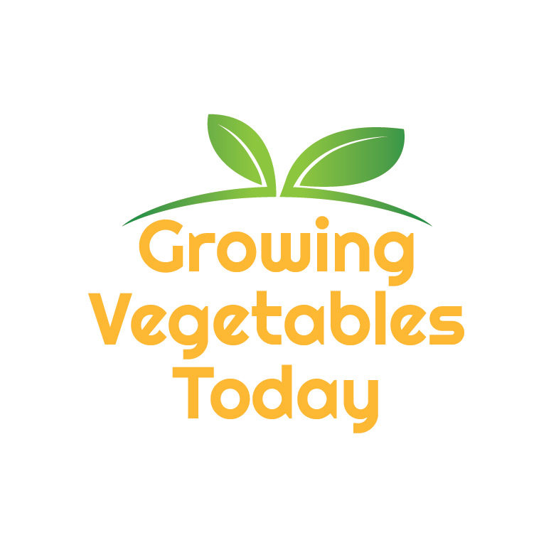 Logo Design by Design Possibilities for this project | Design #2395089
