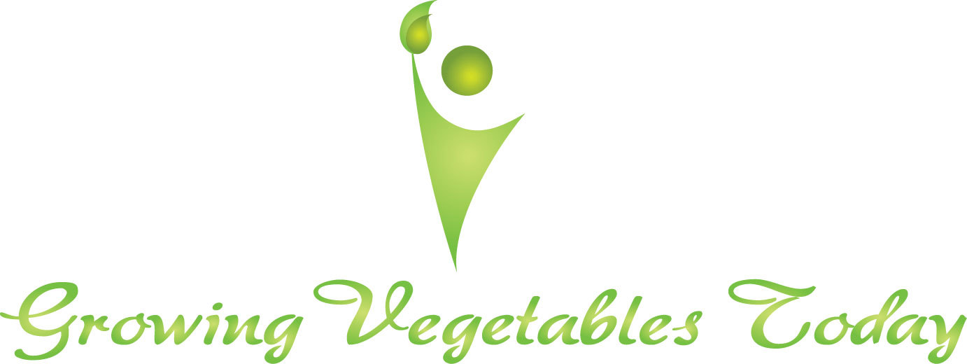 Design de Logo par Rahul Jakabal pour ce projet | Design #2384018