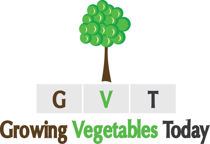 Design de Logo par Rahul Jakabal pour ce projet | Design #2392672