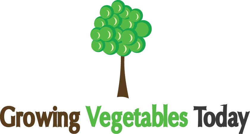 Design de Logo par Rahul Jakabal pour ce projet | Design #2392674