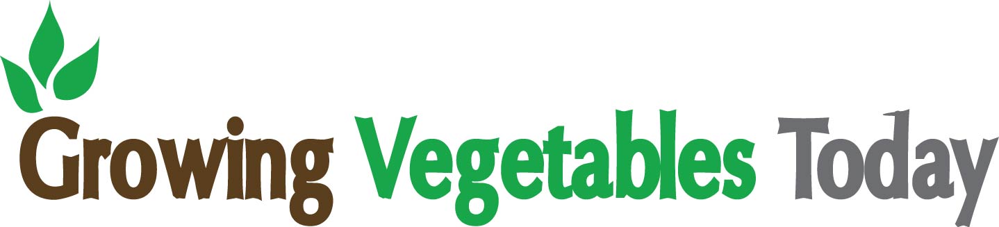 Design de Logo par Rahul Jakabal pour ce projet | Design #2392719