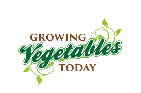 Logo Design by JMD for this project | Design #2391450