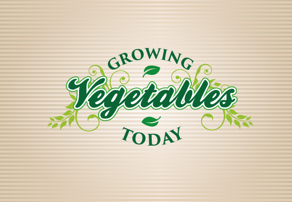 Logo Design by JMD for this project | Design #2391451