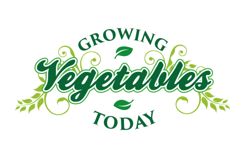 Logo Design by JMD for this project | Design #2391453