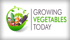 Logo Design by Way Communication