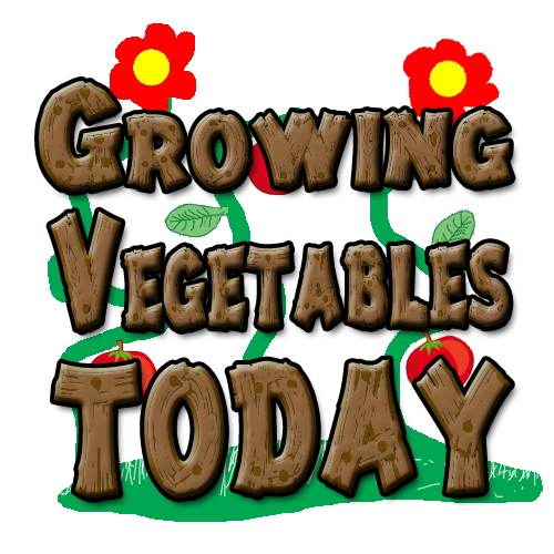 Logo Design by Brenyo for this project | Design #2385794