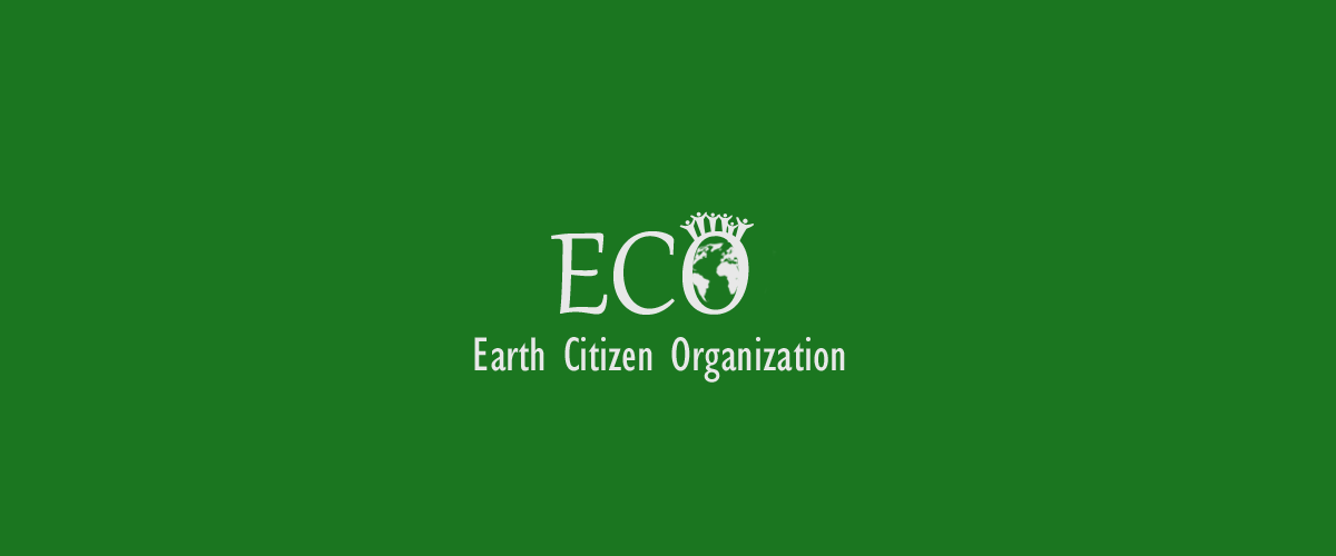 Logo Design by Attaf Othman for this project | Design #2393094