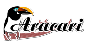 Logo Design by Versitek