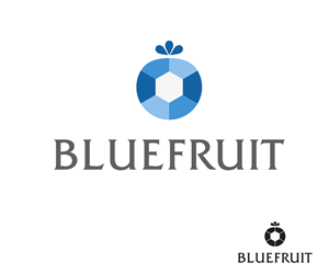 Logo-Design von HishGH für Blue Fruit Designs Ltd | Design #2401708