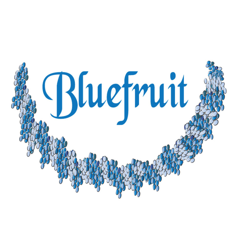 Logo-Design von ktgrandy für Blue Fruit Designs Ltd | Design #2399953