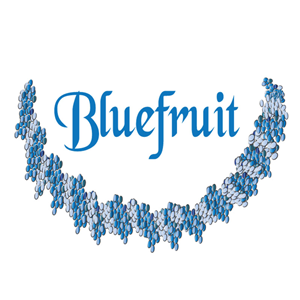 Logo-Design von ktgrandy für Blue Fruit Designs Ltd | Design #2399953
