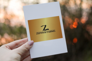 Logo Design by Impressive Sol